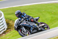 Oulton-Park-20th-March-2020;PJ-Motorsport-Photography-2020;anglesey;brands-hatch;cadwell-park;croft;donington-park;enduro-digital-images;event-digital-images;eventdigitalimages;mallory;no-limits;oulton-park;peter-wileman-photography;racing-digital-images;silverstone;snetterton;trackday-digital-images;trackday-photos;vmcc-banbury-run;welsh-2-day-enduro